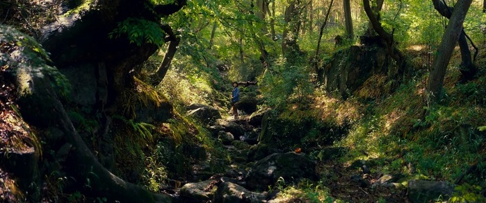 screenshot_0 (700x293, 109Kb)
