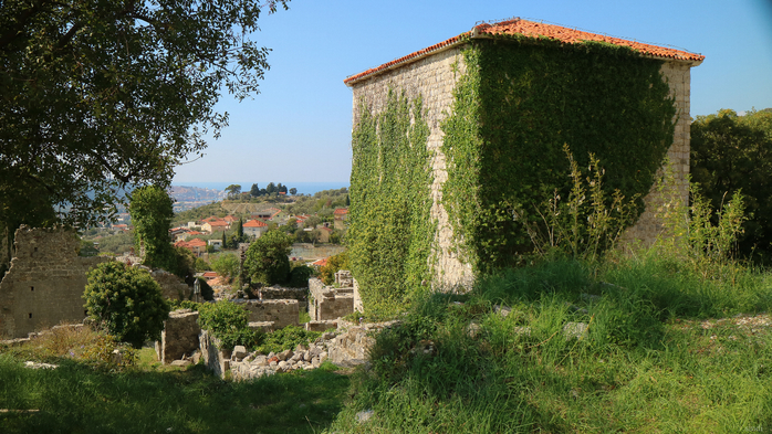 IMG_8246 (700x393, 459Kb)