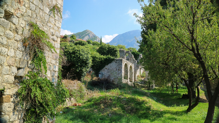 IMG_8308 (700x393, 491Kb)