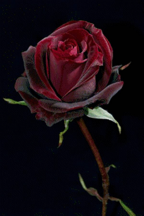 99 (468x700, 260Kb)