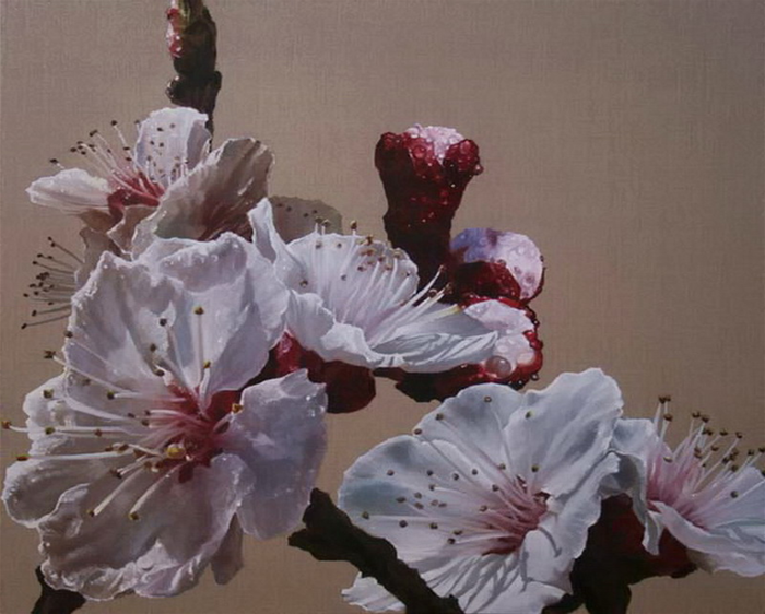 цветы от художницы Anne Middleton7 (700x562, 475Kb)