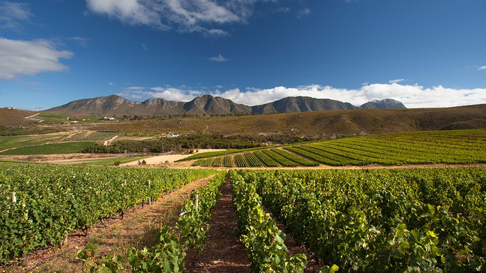 Южная Африка и вино 1 (700x393, 386Kb)