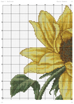  Sunflower (DMC)-001 (494x700, 389Kb)