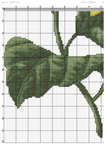  Sunflower (DMC)-003 (494x700, 312Kb)