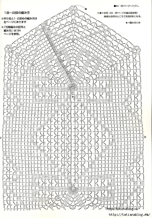 Suteki_Pineapple_Crochet_Laces_2011.page061 copy (486x700, 383Kb)