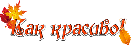 красиво (461x170, 63Kb)