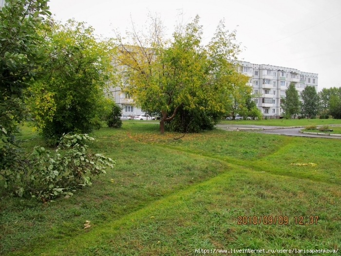 3924376_sharypovo_09_09_2018 (700x525, 369Kb)