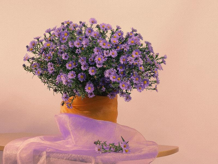 2351783_800n (700x525, 359Kb)