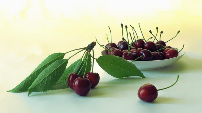 2353922_800n (700x393, 185Kb)