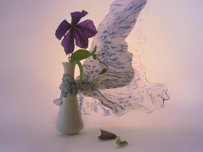 2512457_800n (700x525, 194Kb)