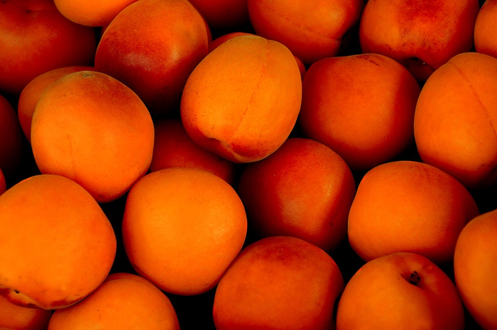 apricot-1556851_960_720 (700x465, 334Kb)