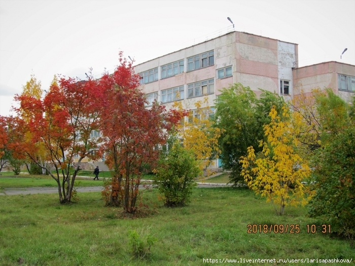 sharypovo/3924376_sharypovo_osen_zolotay_2018_1_ (700x525, 320Kb)