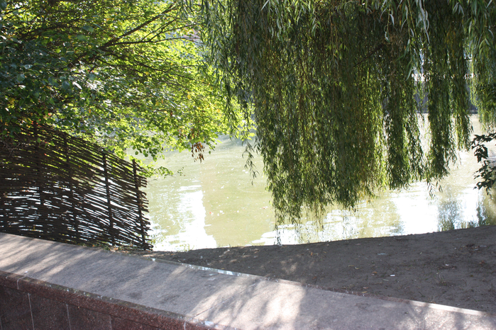 IMG_9590 (700x466, 583Kb)