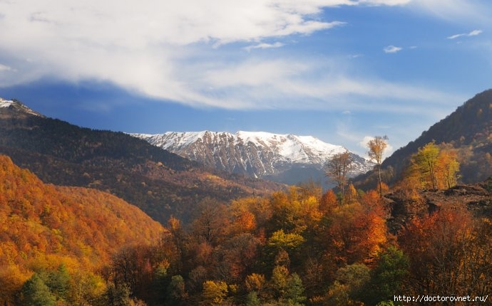 osen_v_Adlere (690x430, 165Kb)