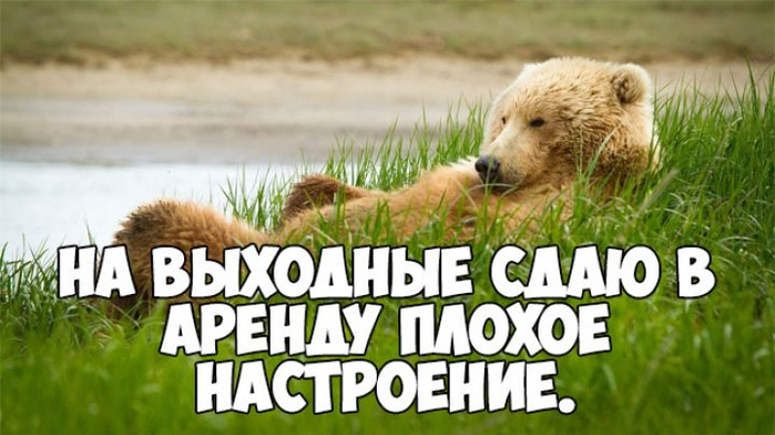 Картинки-про-субботу-прикольные-и-смешные-смотреть-подборку-№19-4-720x404 (700x392, 284Kb)