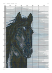  Чорный конь (DMC)-003 (494x700, 371Kb)