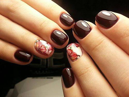 JamAdvice_com_ua_short-nails-claret-manicure-07 (500x375, 130Kb)