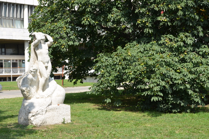 DSC_4453 (700x463, 498Kb)