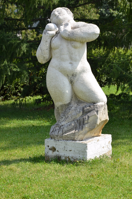 DSC_4463 (463x700, 468Kb)