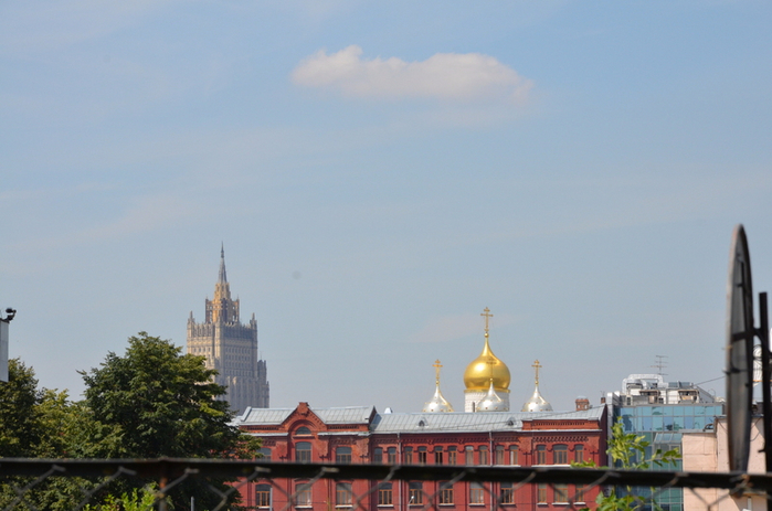 DSC_4485 (700x463, 315Kb)