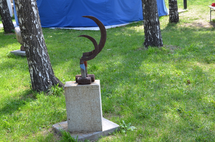 DSC_4518 (700x463, 507Kb)
