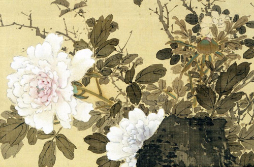 Doves and Peonies (detail) (500x329, 220Kb)