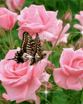 5f4933727030b53656ba6bb0ac13a971 (320x400, 1312Kb)