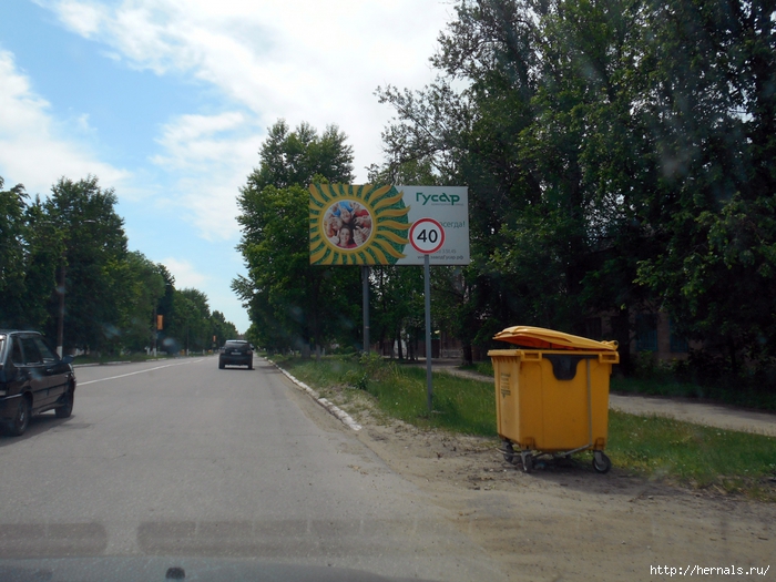 4555640_DSCN0328 (700x525, 307Kb)