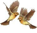 4897960_birds4 (120x108, 10Kb)
