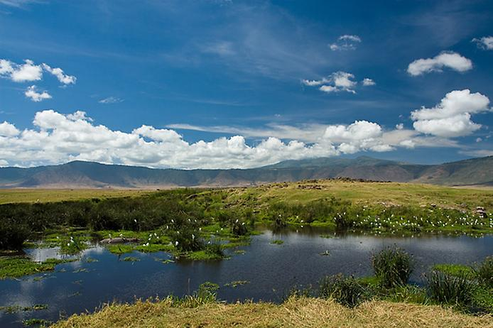 1200px-Ngorongoro кратер 3 (694x462, 281Kb)