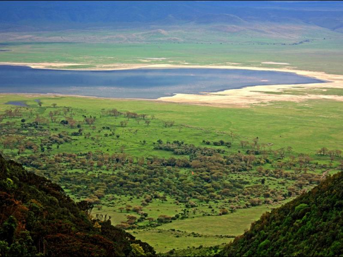 1200px-Ngorongoro кратер 15 (700x525, 406Kb)