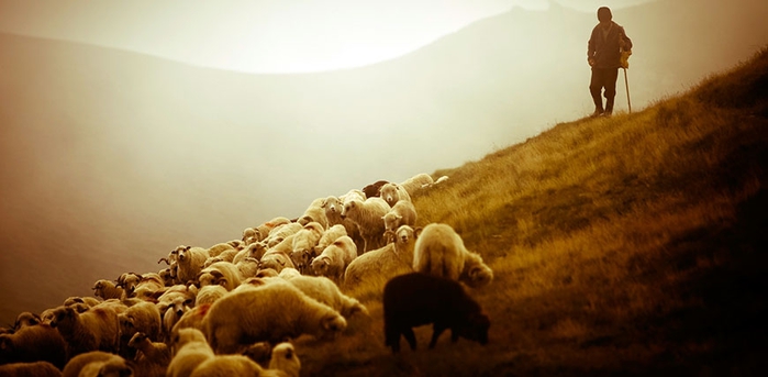 «Одинокий пастух» Джеймса Ласта. Я за мир на земле и красоту планеты!