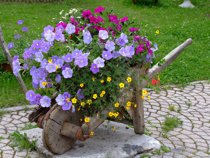 flowers_ideas_03 (700x525, 691Kb)