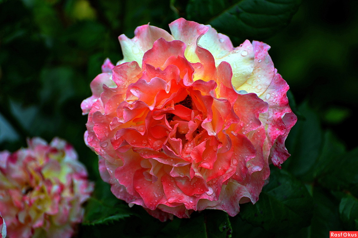 054f776e73ccc0fd440fc84e777314c5 (700x466, 379Kb)