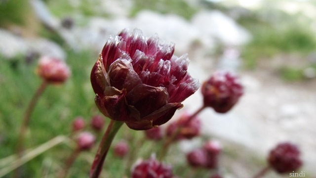 IMG_3567 a (640x360, 167Kb)