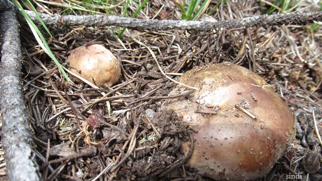 IMG_3569 a (640x360, 323Kb)