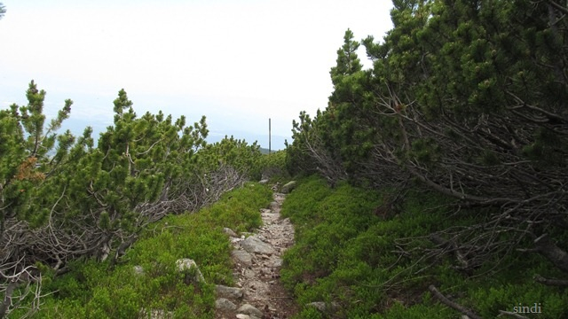 IMG_3574 a (640x360, 227Kb)