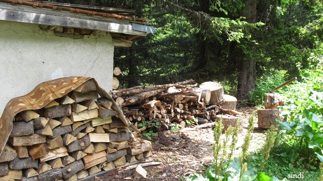 IMG_3614 a (640x360, 328Kb)
