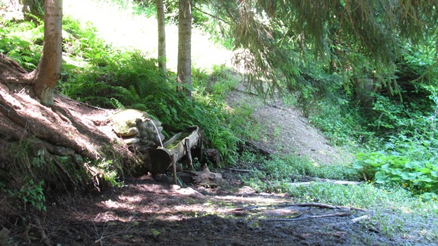 IMG_3620 a (640x360, 364Kb)