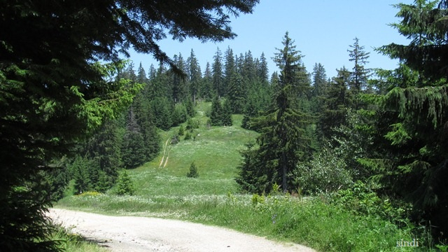 IMG_3618 a (640x360, 282Kb)