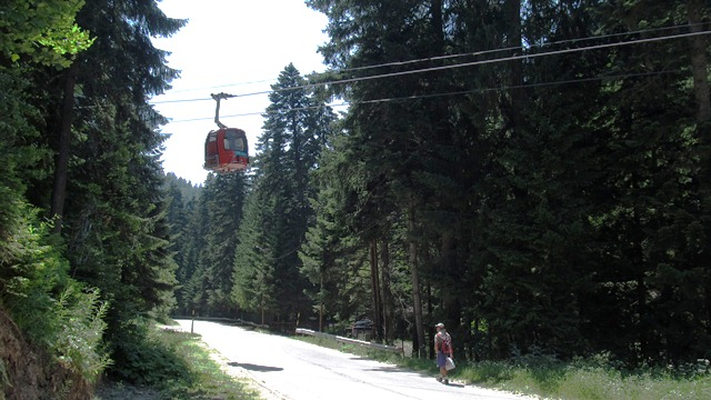IMG_3622 a (640x360, 254Kb)