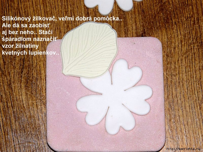 Лепка из сахарной мастики для тортов. Красивые цветы. Мастер-класс (3) (700x525, 344Kb)