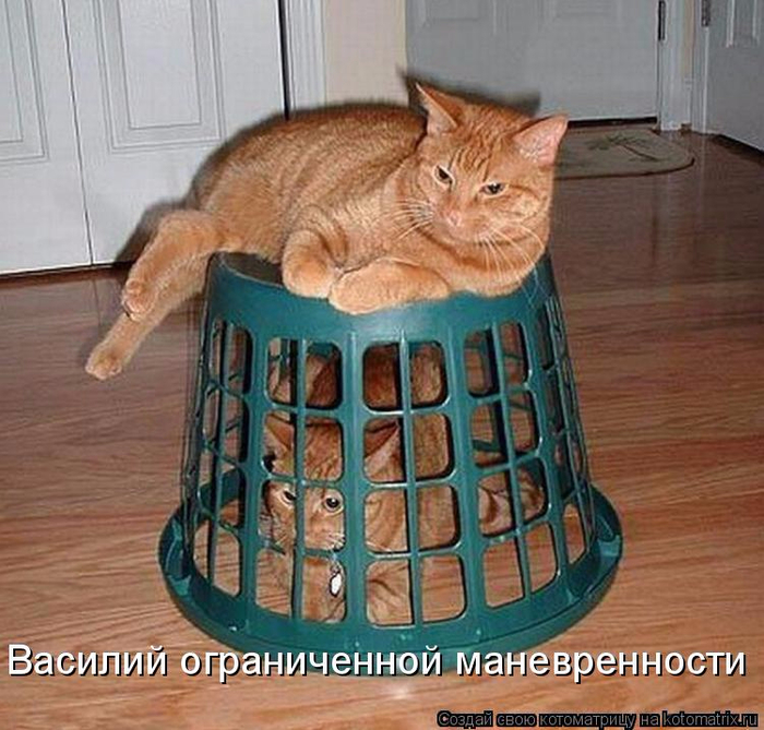 kotomatritsa__ (700x669, 437Kb)