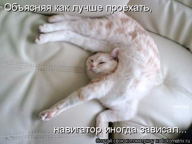 kotomatritsa_3 (640x480, 174Kb)