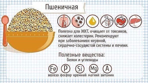 5990930_psheno (595x335, 67Kb)