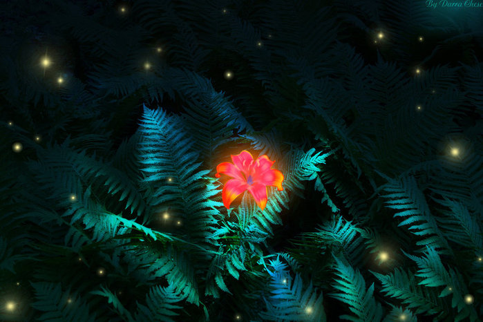fern_flower_by_darrachese-d5idqe5 (700x466, 87Kb)