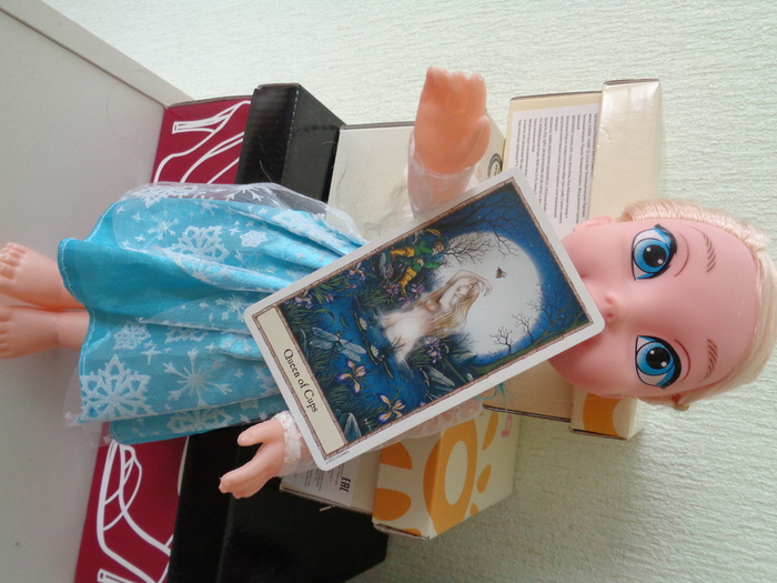 DSC01659 (700x525, 222Kb)