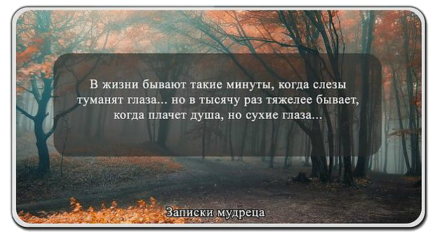 Цитаты о себе со смыслом до слез Цитаты о себе со смыслом до слез