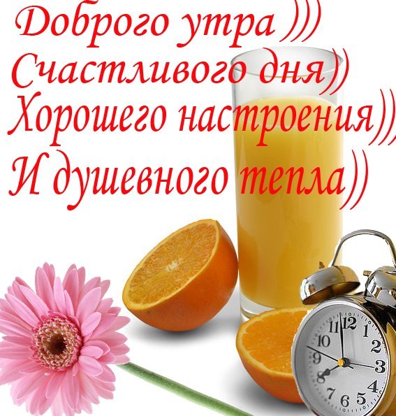 http://img1.liveinternet.ru/images/attach/d/1/130/716/130716207_3768849_333.jpg