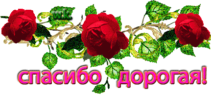 129008826_128502401__spasibo_dorogaya_anima (431x195, 246Kb)